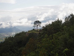 P9260178