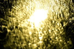雨踊る