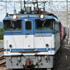 EF65牽引貨物列車