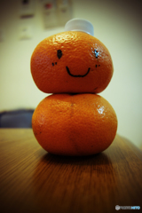 ほっこり　みかんダルマ