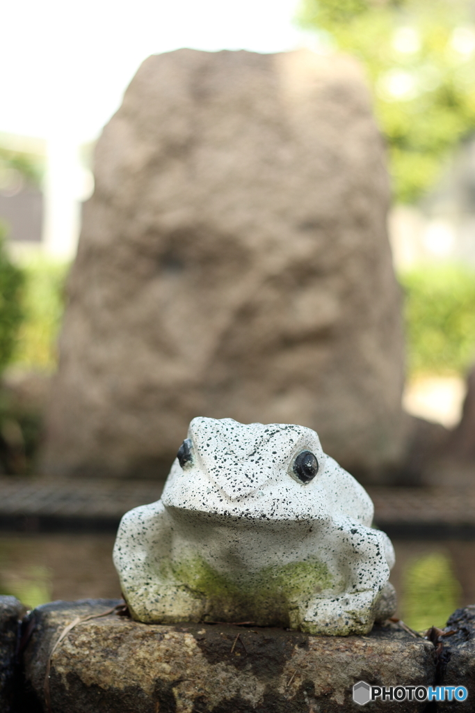 公園の守り蛙