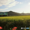 北条鉄道②