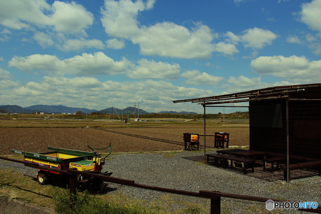 長閑な田園