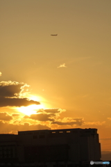 茜色の太陽と飛行機