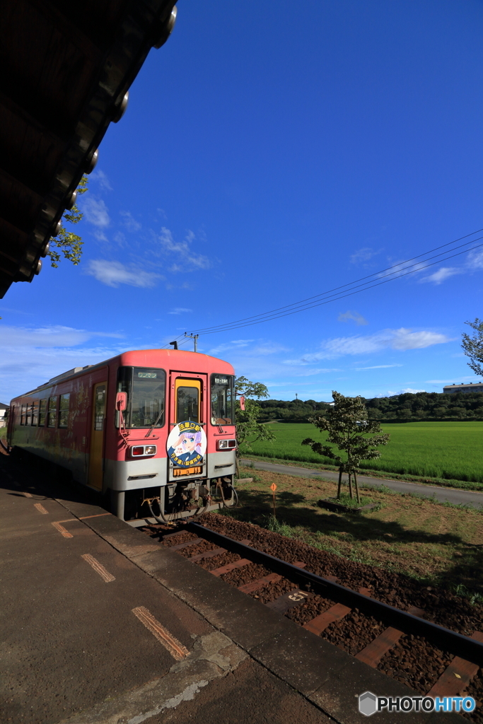 網引駅