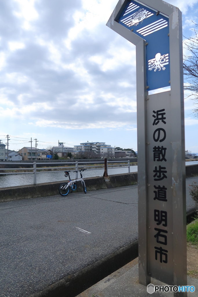 浜の散歩道