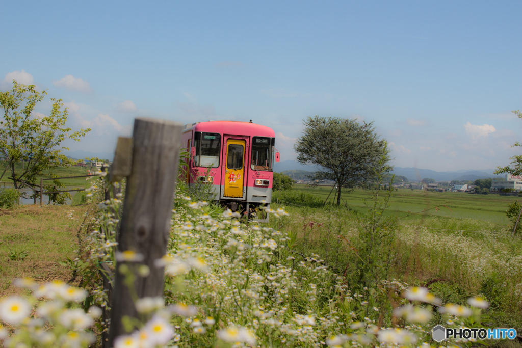 北条鉄道　法華口駅