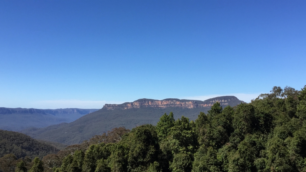 ブルーマウンテンズIMG_7081