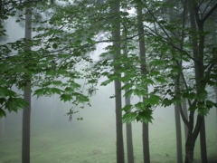 P2180081