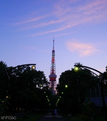 IMG_7151