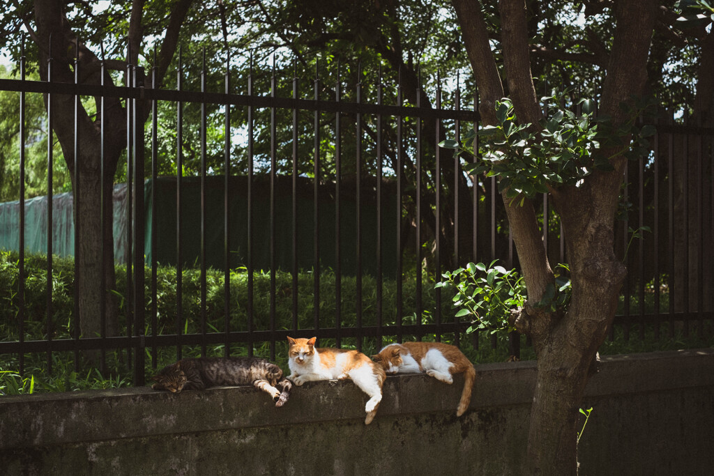 2013_07_06 12_13_11 X-Pro1 XF35mmF1.4 R