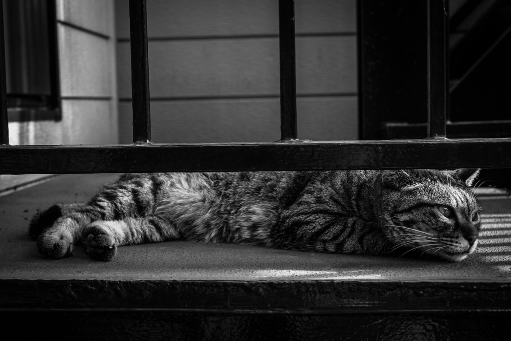 2014_06_10 16_24_47-X-Pro1-XF35mmF1.4 R