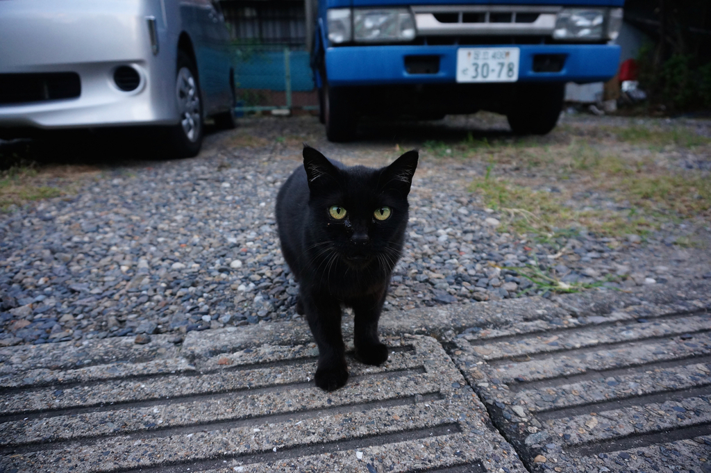 2014_10_11 17_04_50-NEX-5T-Sony E PZ 16-