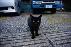 2014_10_11 17_04_50-NEX-5T-Sony E PZ 16-