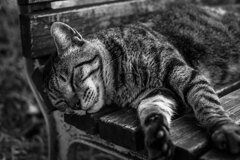 2013_07_18 14_38_31-X-Pro1-XF35mmF1.4 R