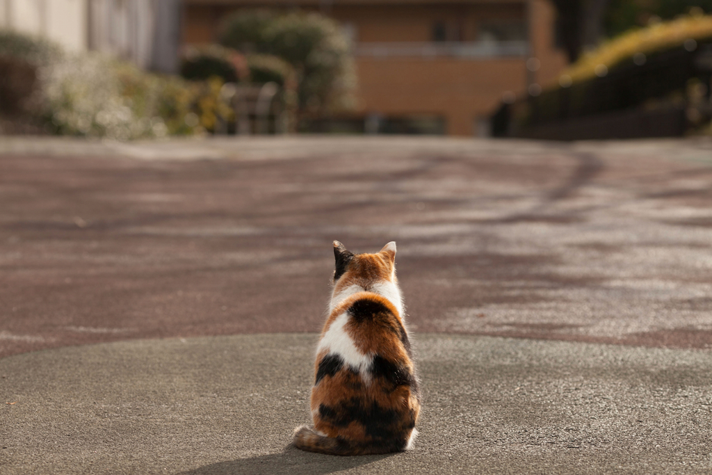 2013_02_14 13_59_38-Canon EOS 5D Mark II