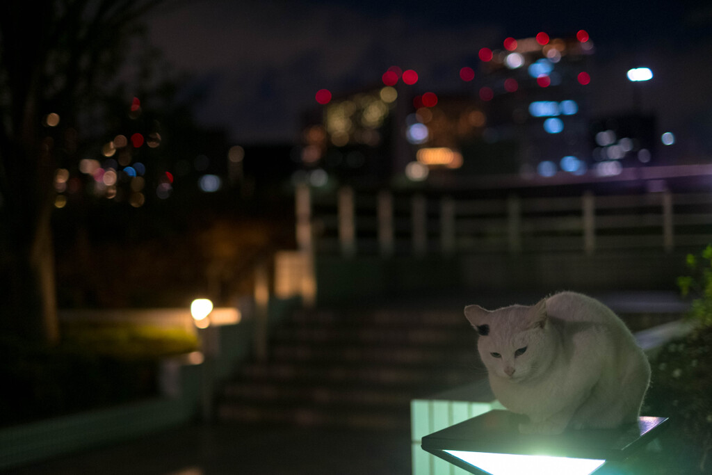 2012_12_31 17_44_16 X-Pro1 XF35mmF1.4 R