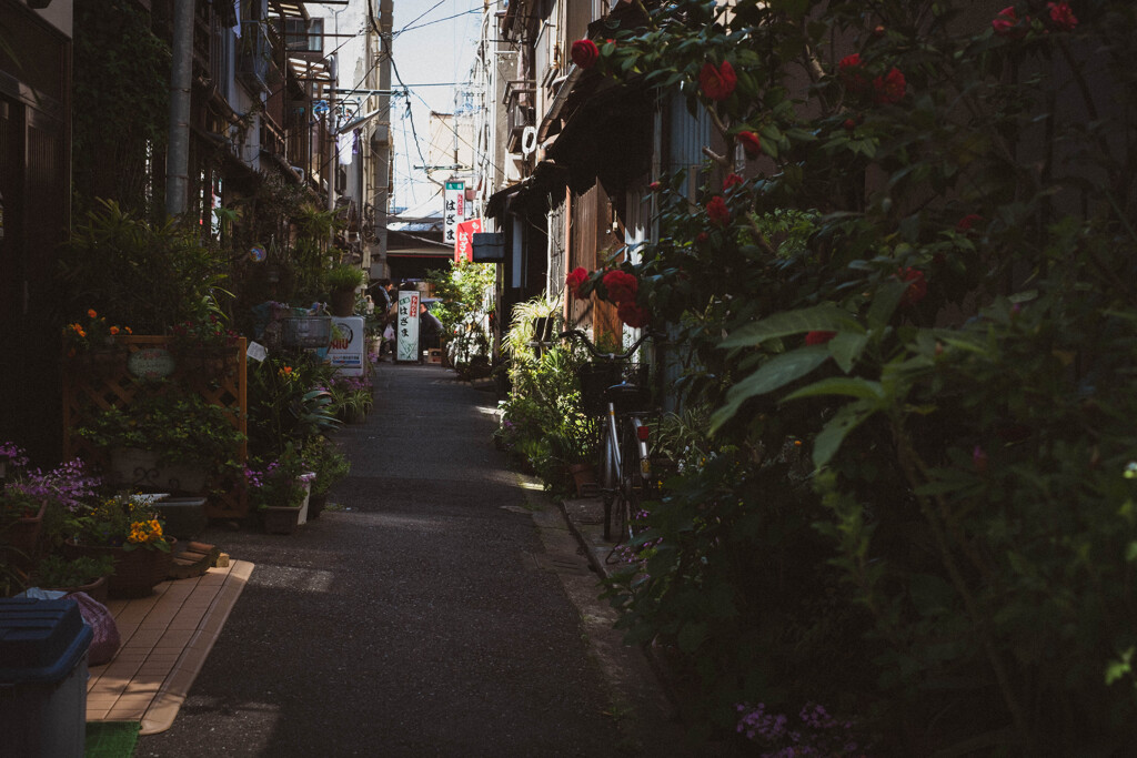 2013_04_08 12_40_58 X-Pro1 XF35mmF1.4 R