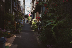 2013_04_08 12_40_58 X-Pro1 XF35mmF1.4 R