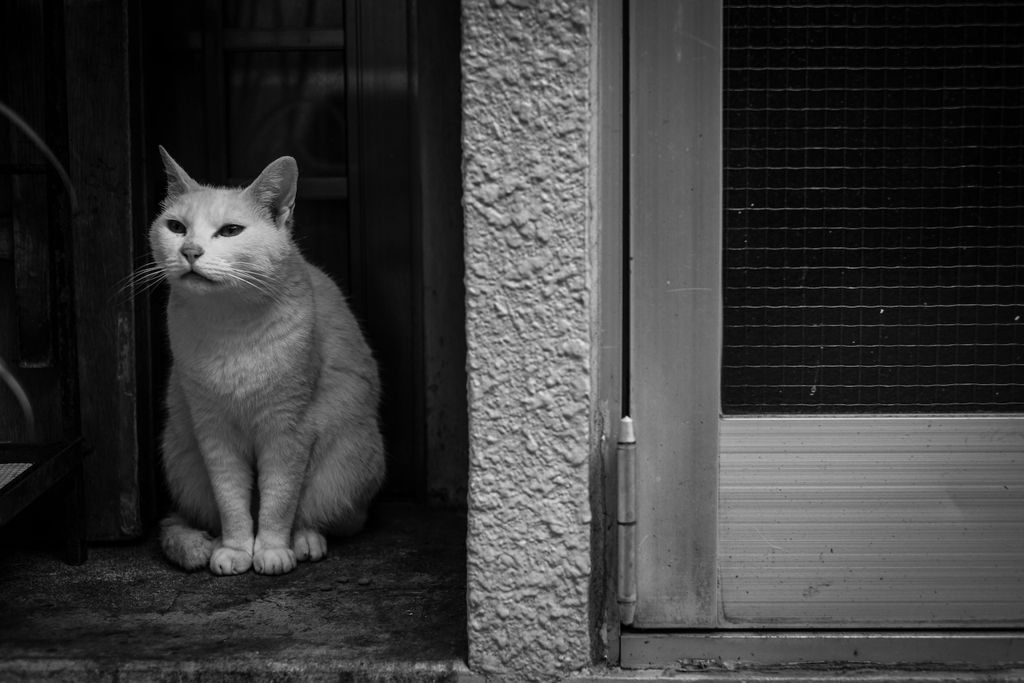 2014_06_09 14_51_55-X-Pro1-XF35mmF1.4 R