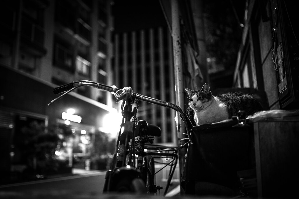 2013_09_29 22_33_14-Canon EOS 6D-35mm Li