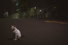 2013_07_02 21_53_41 X-Pro1 XF35mmF1.4 R