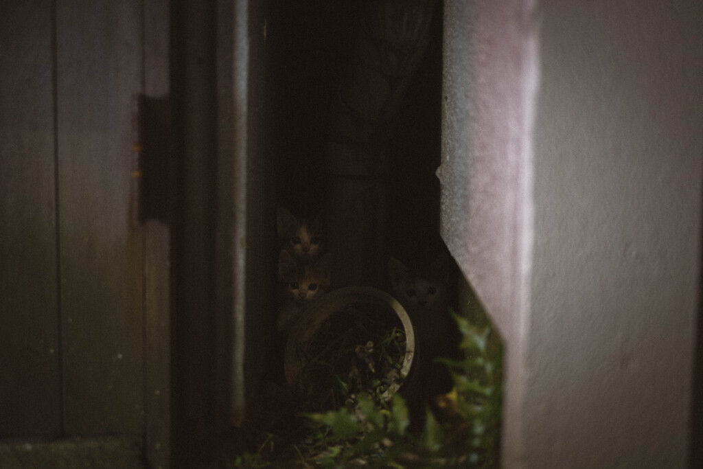 2013_06_29 22_20_33 X-Pro1 XF35mmF1.4 R