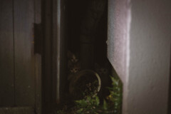 2013_06_29 22_20_33 X-Pro1 XF35mmF1.4 R