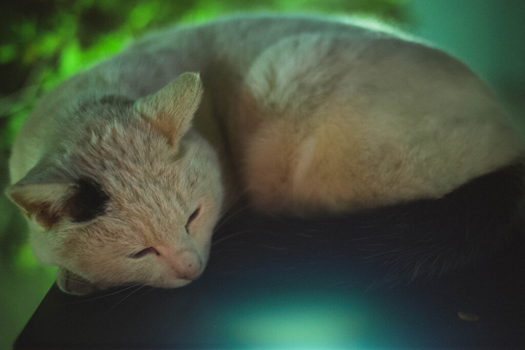 2013_02_03 21_55_33 X-Pro1 XF35mmF1.4 R