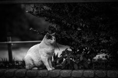 2013_12_11 11_25_22-Canon EOS 6D-EF135mm