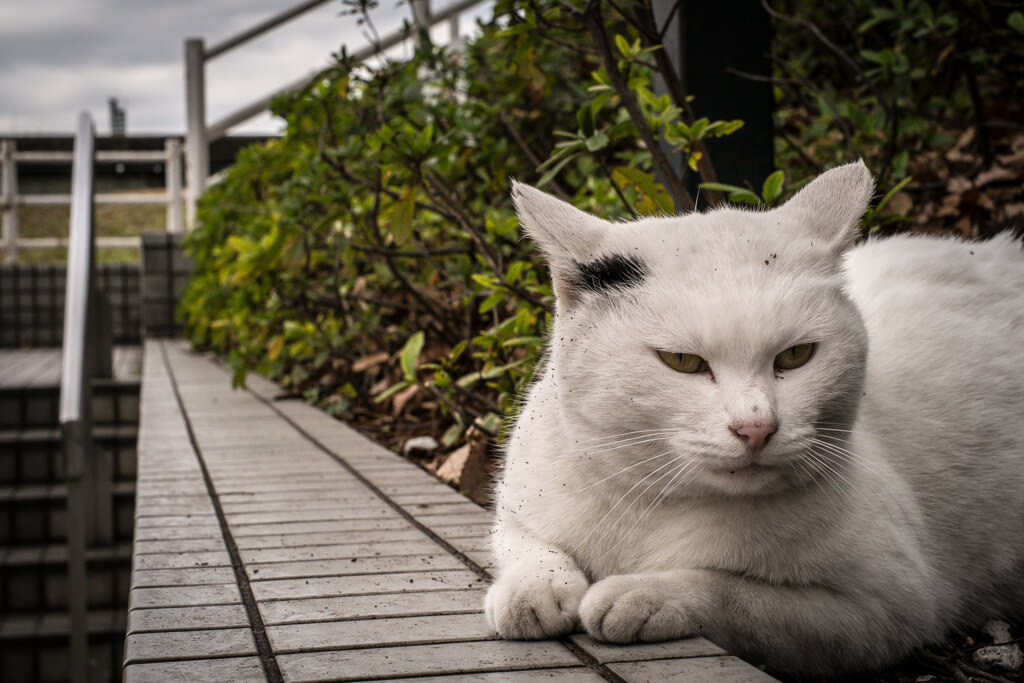2012_12_31 12_55_11-X-Pro1-XF35mmF1.4 R