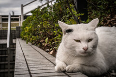 2012_12_31 12_55_11-X-Pro1-XF35mmF1.4 R