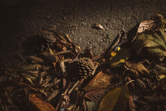 2013_11_30 12_28_02 X-Pro1 XF35mmF1.4 R
