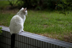 2013_05_18 13_00_26-Canon EOS 5D Mark II