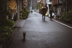 2013_11_04 12_51_56 X-Pro1 XF35mmF1.4 R