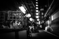 2013_09_29 22_29_43-Canon EOS 6D-35mm Li