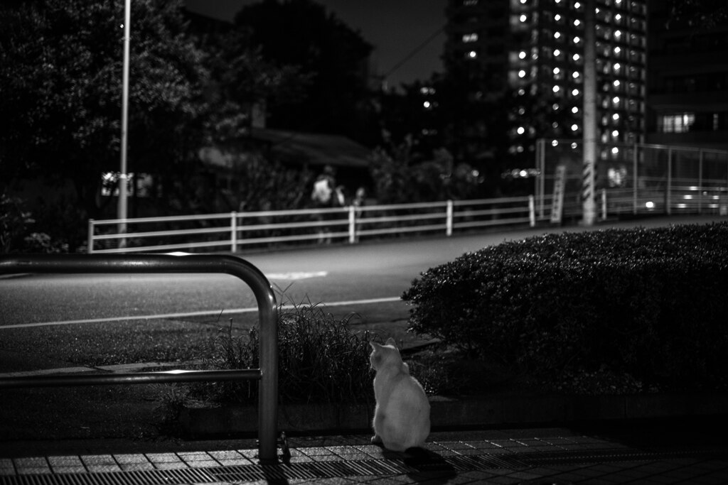 2013_07_19 22_00_19-X-Pro1-XF35mmF1.4 R