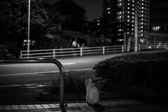 2013_07_19 22_00_19-X-Pro1-XF35mmF1.4 R