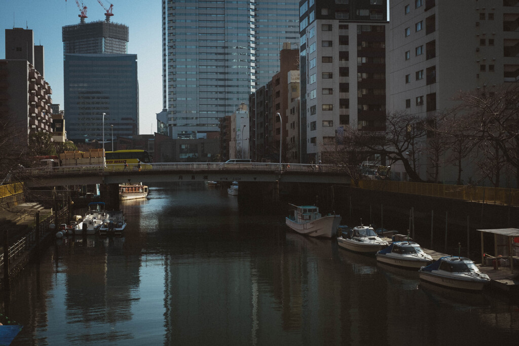 2013_02_01 12_56_51 X-Pro1 XF35mmF1.4 R