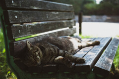 2013_07_18 14_37_08 X-Pro1 XF35mmF1.4 R