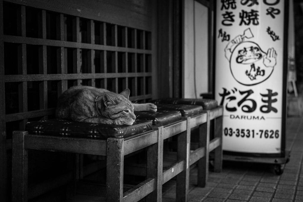 2013_07_01 12_56_38-X-Pro1-XF35mmF1.4 R