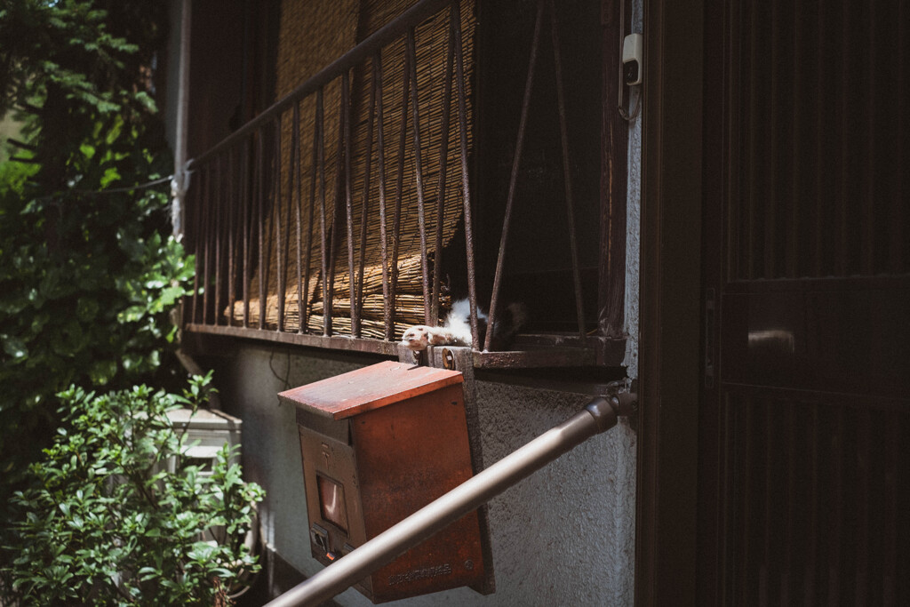 2013_07_06 11_58_33 X-Pro1 XF35mmF1.4 R