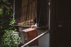 2013_07_06 11_58_33 X-Pro1 XF35mmF1.4 R