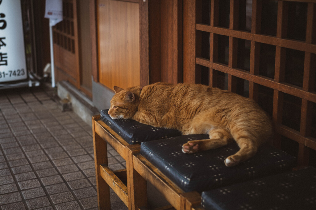 2013_07_01 12_56_27 X-Pro1 XF35mmF1.4 R