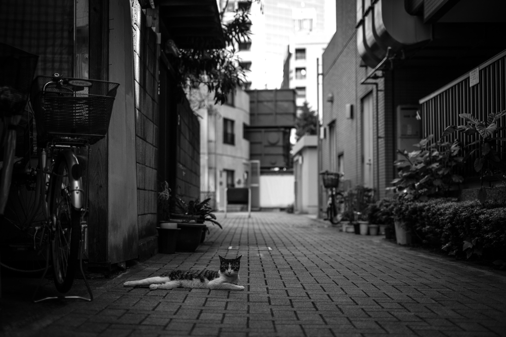 2014_05_11 13_50_24-X-Pro1-XF35mmF1.4 R
