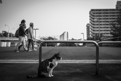 2014_04_23 15_12_24-X-Pro1-XF35mmF1.4 R