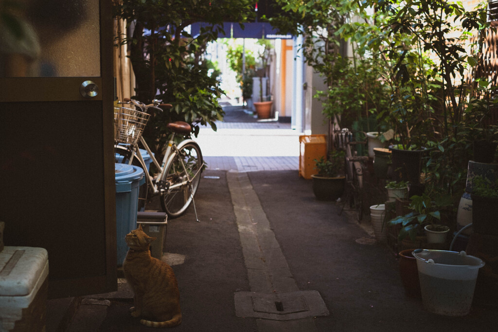 2013_04_08 12_43_30 X-Pro1 XF35mmF1.4 R