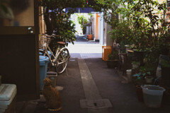 2013_04_08 12_43_30 X-Pro1 XF35mmF1.4 R