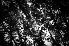 2013_09_12 14_14_03-Canon EOS 6D-Zeiss M