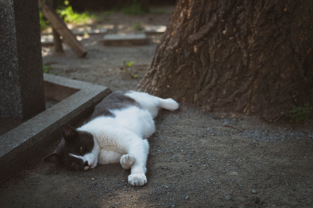 2013_07_11 15_08_37 X-Pro1 XF35mmF1.4 R